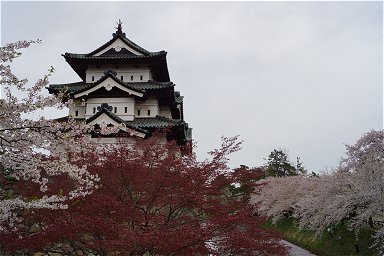 今年は春になるのが遅かったせいで、弘前の桜がＧＷに見られるという。それならばと訪問した北東北でした。<br />秋田空港から入って、弘前まで向かいました。<br /><br />ホームページで旅行記を掲載しています。<br />http://rokumaru.main.jp/japan/travelogue/12/stxtj01.html<br /><br />【写真】<br />弘前の桜<br />すごい量の桜が見られる。