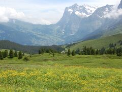 スイスアルプス　フラワーハイキングの旅　その３