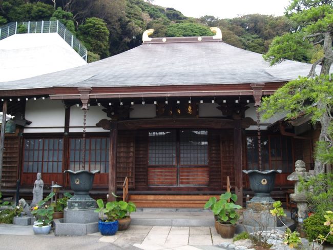 神奈川県横須賀市東浦賀2にある専福寺は浄土宗のお寺で永昌山或寿院専福寺という。永正元年(1504年)、僧・槃誉久悦によって創建された。本尊は阿弥陀三尊である。この三尊像は高村光雲の祖で江戸時代の仏師・高村東雲の作である。 石段の途中に「呑龍上人宝前」碑がある。 本堂の前に、新しく造られた水かけ観音像と、小林一茶の日記の一節が刻まれた「寿女の碑」がある。文化3年(1806年)頃に一茶は初恋の人の菩提を弔うためにしばしば訪れたといわれる。しかし、その墓も関東大震災による山崩れで見つからなくなってしまっている。 本堂の脇には、浦賀町時代に町長となった回船問屋川津屋の太田又四郎の墓碑がある。 また、東叶神社の芭蕉碑を建てた福井貞斎の墓もある。明治3年(1870年)に没した。墓石には、「達磨忌の大根膾や摺りはなし」という辞世の句と、「何事も よしやあし屋に さはがしの 世をのがれて 行身こそ楽しき」という狂歌が刻まれている。 本堂屋根には鴟尾(しび)が上がっているが、鴟尾(しび)が上がっている伽藍は奈良(唐招提寺、東大寺)や今津(滋賀県)、砺波(富山県)などで見たが、いずれも瓦屋根であった。銅瓦葺きの屋根には珍しいだろう。(表紙写真は専福寺本堂)