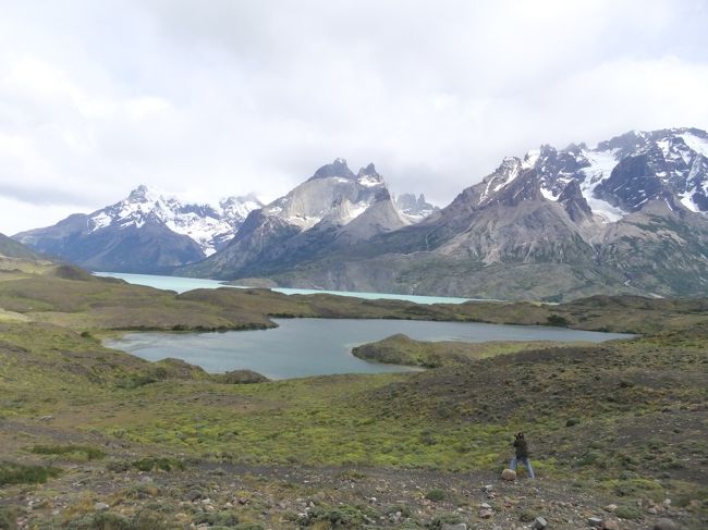 氷河の後は、国境超えてチリに行き、パイネ国立公園の日帰り現地ツアーに。
