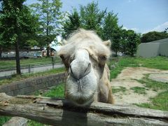 東武動物公園