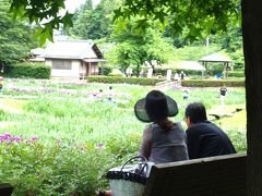 「 花菖蒲まつり 」 & 「 咲花温泉 」 の旅 ＜ 新潟県三条市・五泉市 ＞