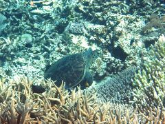 美ら海水族館と宮古島八重干瀬ツアーそして最後に待受けていた大波乱 Vol.3