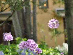 ２０１２年５月　三重県撮影旅行　１