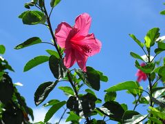 美ら海水族館と宮古島八重干瀬ツアーそして最後に待受けていた大波乱 Vol.4