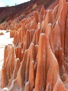 マダガスカル新婚旅行９日間【2】レッドツィンギー編
