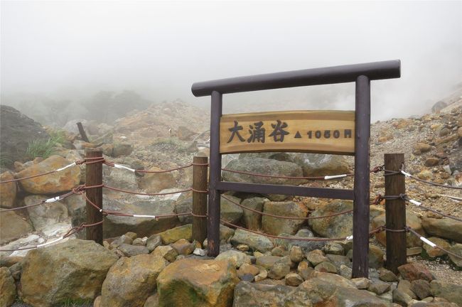 京都からの出張者と共に大涌谷に向かうが、すごい霧またはガスとも言いますが・・出発。
