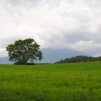 ２０１２夏東北のドライブ旅４日目～男鹿・角館・田沢湖・小岩井・平泉～  