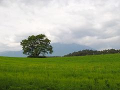 ２０１２夏東北のドライブ旅４日目～男鹿・角館・田沢湖・小岩井・平泉～  