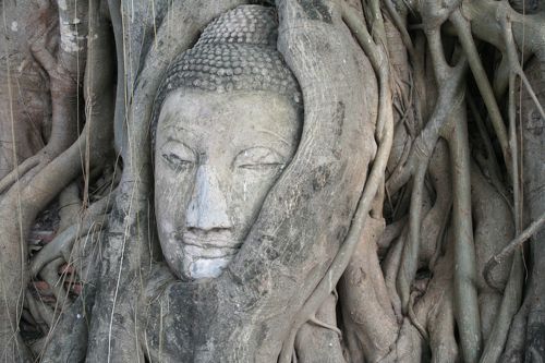 タイ　スコータイ王朝　アユタヤ　夫婦俑　N55-1 タイ スコータイ王朝 アユタヤ 夫婦俑 N55-1