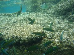 ラテンガ島　海が綺麗!