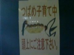 ♪12年07月13-14日 長男クンタと車中泊をした ネオパーサ駿河湾沼津レポ【写真アップロード完了】