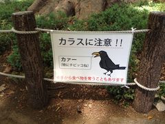 上野動物園に献花に行く