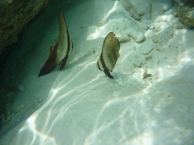 ラテンガ島　海が綺麗3