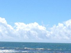 熱帯魚も泳ぐ南国高知で磯遊び！絶好の海の日☆日和(＾０＾)／高知龍馬空港から20分のドライブでシュノーケルも♪またまた魚も大漁です！