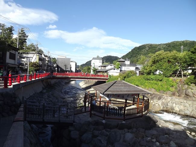 天気予報ではどこもまずまずで、行き先を考えていると　家内から<br /><br />「新名神のＳＡにあるお姫様トイレに行きたい！」　との意見。<br /><br /><br />とりあえず第一目的地は　駿河湾沼津ＳＡに決定。<br /><br />あとは沼津港を散策しようとだけ決めて出発しました♪