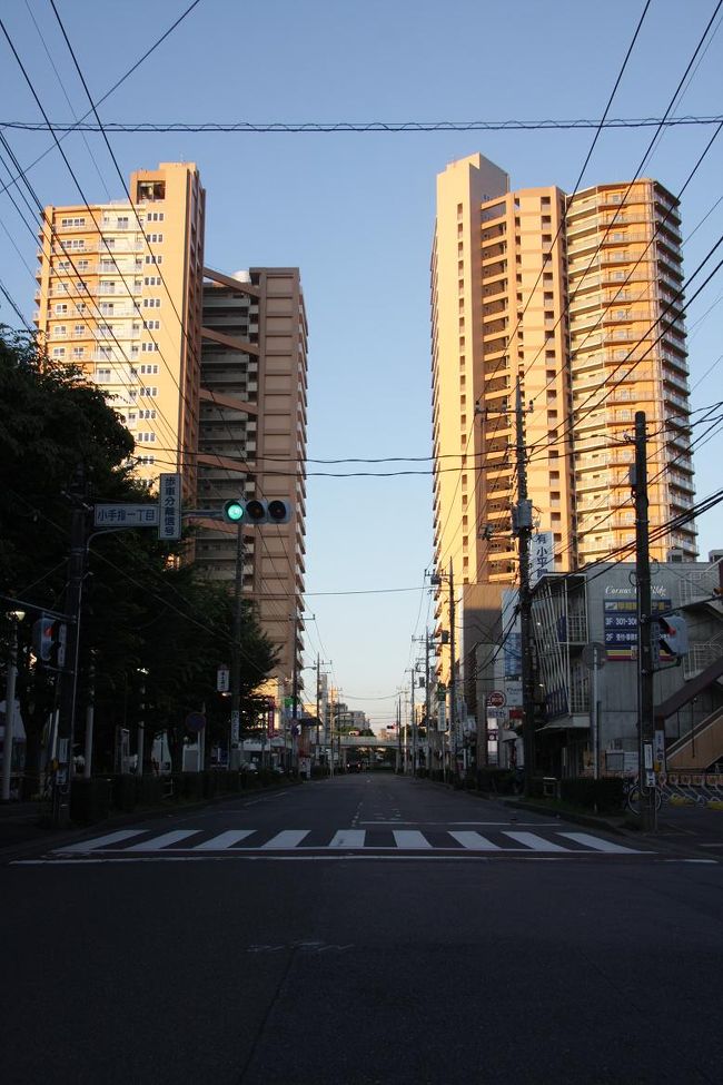 2012.7.17　5：11<br />小手指駅北口のハナミズキ通りと小手指タワーズD棟（右27階建）E棟（左23階建）<br />Hanamizuki-dori in Kotesashi/Tokorozawa<br /><br />梅雨が明けたかのような猛暑の昨日、昨年のこの時期に公開した「小さな旅　夜明けのわが街　小手指」http://4travel.jp/traveler/810766/album/10582913/を思い出し、同じエリアを同じ時間帯に歩いてみようと目覚ましを4:30にセットしました。東の空には低い位置にだけ雲があり、日の出の撮影には絶好の条件です。<br /><br />起き抜けにいつも飲んでいるコップ一杯のヨーグルト・オレンジジュースMIXで水分・糖分補給をして、EOS40Dを首に提げて出かけました。と言っても、最初の目的地の小手指陸橋上までは５分もかかりません。陸橋の上からは昨年は建設中であったが6月末に完成した高層マンション「小手指タワーズ」や小手指駅、西武鉄道小手指車両基地、小手指ハイツA,B,C,G棟などが間近に見えます。陸橋を通る車も、昼間の交通量がうそのように、たまにしか見かけません。<br />今朝の日の出は4：50でした。これはいわゆる日の出時刻ではなく、太陽が雲間から顔を出した時刻です。<br />ちなみに7月17日の東京の日の出時刻は4：38<br /><br />陸橋をくだり、建物に反射するオレンジ色の柔らかい陽光を求めてC棟の裏手から西友小手指店前交差点、ハナミズキ通りを歩きました。<br />車が来ない道路や交差点の真ん中で、日中では写せない視点・アングルで撮影できるのは予想外の特権・優越感を覚えました。<br />プライバシーとか言われずに街並みを写せるのは、朝の爽やかさと共通する感覚で新発見です。<br />6月末に完成した高層マンション「小手指タワーズ」2棟や小手指駅からマンションに繋がる歩行デッキなどが昨年にはなかったものです。デッキからは東京スカイツリーが彼方に望めました。<br /><br />定点観測を目指しているので撮影街歩きのコースや被写体は昨年とほとんど同じです。新鮮味に欠けますがご承知おきください。<br /><br />撮影　CANON EOS40D 17/85 ISO 400, P-MODE<br />CANON　PowerShot A2300<br /><br />&lt;a href=&quot;http://blog.with2.net/link.php?1581210&quot;&gt;人気ブログランキングへ&lt;/a&gt;<br />