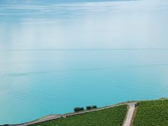 スイス／イタリア旅行2012　①　　レマン湖湖畔　Chexbresに到着