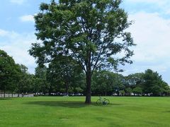 自転車でウロウロ…２０１２．０６．２９～富士市内公園巡り～