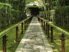 京都を歩く(128)　高桐院　木漏れ日溢れる参道を抜けて