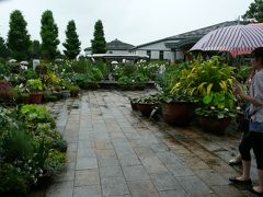 琵琶湖・博物館と植物園