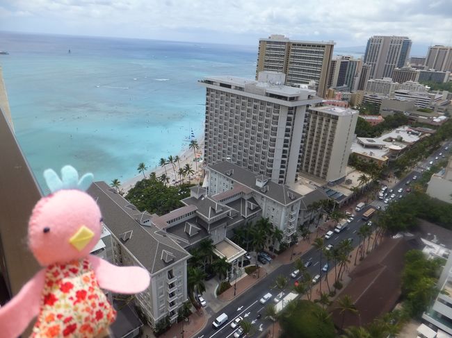 大好きなHAWAIIも6回目♪<br />だいぶ青い海が恋しくなっていたため、<br />そろそろHAWAIIへ行きたいと思っていました。<br /><br />かおことは昨年4月に一緒に行こうとツアーの予約をしていましたが、<br />地震の影響でキャンセルになったのでリベンジ旅行♪<br /><br />かおこは特典航空券で一日早く、ハワイ入り。<br />わたしとワカメちゃんはいつものようにJTBのツアーで合流。<br />ハワイで友達が迎えてくれるなんて・・・初めての経験にわくわく☆<br />のんびりしたいな～なんて思っていたのも来るまで。<br />気付いたら、いつもどおりフルに予定をつめこんでいました（笑）<br /><br />今回の旅行では、みんなそれぞれやりたいことをやろう！<br />というテーマで個人行動あり、自由そのもの。<br />まさにストレスフリーの楽しい旅行となりました。<br /><br />初日は相変わらず、寝不足で頭が回らず、<br />直射日光にフラフラしているうちに<br />あっという間に過ぎていました・・・<br />ワカメちゃんには付きあわせてしまって<br />本当に申し訳なかった。。。<br /><br />予定外のスマホ充電切れや携帯がつながらないなど<br />アクシデントもありましたが、旅慣れしているかおこのおかげで<br />無事合流できて楽しい旅行のスタートを切ることができました。<br /><br />前もって念のための集合時間、場所を指定してくれてありがとう。<br />さすがカオコちゃん、感謝×２！の初日でした。<br /><br />■□■　旅行スケジュール　■□■<br /><br />１日目<br />成田→ホノルル<br />ﾎﾉﾙﾙの中心街やｱﾗﾓｱﾅｼｮｯﾋﾟﾝｸﾞｾﾝﾀｰをプラプラ。<br />無駄にｲﾝﾀｰﾅｼｮﾅﾙﾏｰｹｯﾄﾌﾟﾚｲｽを歩く。<br /><br />２日目<br />AM　ラニカイビーチ、カイルアビーチ<br />　　　★BOOTS &amp; KIMO&#39;S（ﾌﾞｰﾂ&amp;ｷﾓｽﾞ）★でﾊﾟﾝｹｰｷ♪<br />PM　★Hale Vietnam（ﾊﾚ・ﾍﾞﾄﾅﾑ）★で夕食<br /><br />３日目<br />　　マウイ島観光<br /><br />４日目<br />AM　Dolphin＆you　ドルフィンスイム<br />PM　ここでやっとDFSに立寄り<br />　　　夕食後★Mai Tai Bar（ﾏｲﾀｲﾊﾞｰ）★で姫気分。<br /><br />５日目<br />AM　★Na Ho&#39;ola Spa（ﾅ ﾎｵﾗ ｽﾊﾟ）★でヨガレッスン<br />　　　再び、ざっとDFS<br />　　　★Hau Tree Lanai（ﾊｳﾂﾘｰﾗﾅｲ）★でｴｯｸﾞﾍﾞﾈﾃﾞｨｸﾄ<br />PM　たった1時間しか時間がないため<br />　　　ｱﾗﾓｱﾅｼｮｯﾋﾟﾝｸﾞｾﾝﾀｰ内を走る<br />　　　★Moana Lani Spa（ﾓｱﾅ ﾗﾆ ｽﾊﾟ）★でロミロミ<br /><br />６日目<br />AM　★The　veranda（ｻﾞ･ﾍﾞﾗﾝﾀﾞ）★でブランチ<br />ホノルル→成田<br />－－機中泊－－<br /><br />７日目<br />成田到着<br /><br />※ガイドブックは[aruco ﾎﾉﾙﾙ］を持参！<br />　説明のほとんどはこちらを引用しています。<br />　デザインがとてもかわいくて内容もとても良かったのですが、<br />　発刊が1年前だったので少し情報が変わっている部分が<br />　ありました。