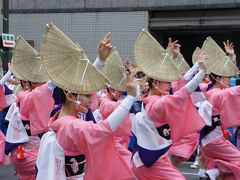 第55回東京高円寺阿波おどり 　～迫力の踊りは本場の雰囲気がそのままです