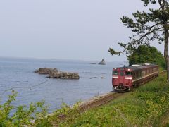 北陸ローカル線で☆　初夏の五箇山と氷見へ　その④氷見線でにわか撮りテツコ☆