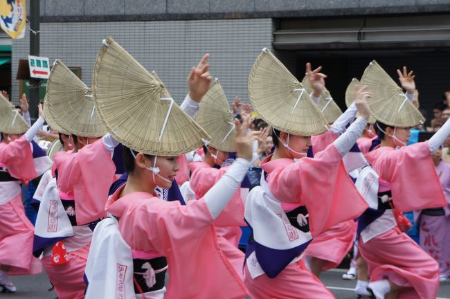 2012年の第56回東京高円寺阿波おどりは、今年も、8月25日（土）26日（日）に行われる予定です。これに先立って、昨年の阿波踊りの様子をレポートします。