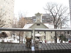 北海道冬のイベント周りしてくるクマ～　札幌雪祭り＋すすきの氷祭り？