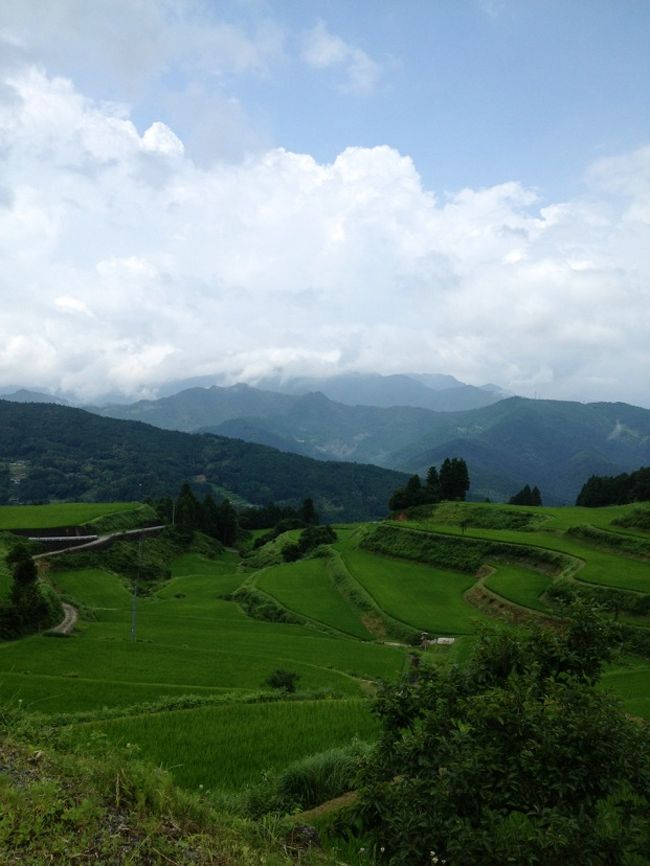 ５月の末に初めて行った　棚田。<br /><br />梅雨も明けたし　きっと緑の美しい　棚田の風景になっているはず・・。<br /><br />旦那さんも　棚田のその後がきになって　行ってみることにしました＾＾<br /><br />さっそく　簡単なお弁当を作って　お出かけです！