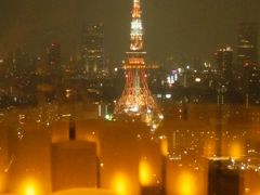 浜松町駅お隣の小さな大名庭園と、都会の夜景をゆったり満喫できる穴場的スポット！