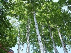 　パスタ・カルタ・パコ