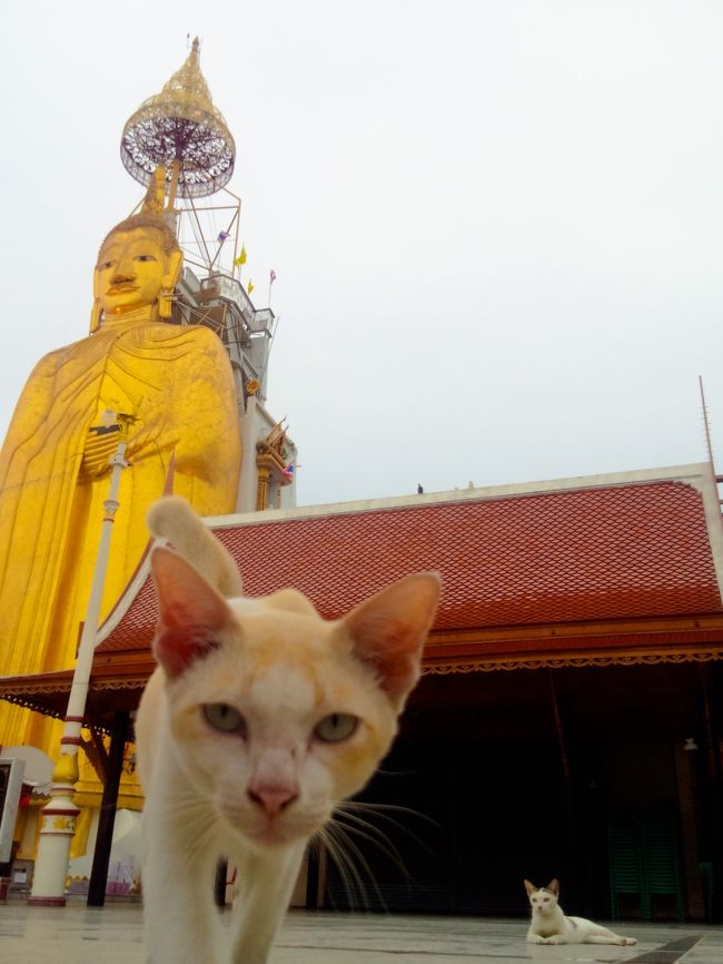 この夏の連休にはカンボジアに行ってきたのですが、バンコクでも少しトランジットで立ち寄っていて、すこーしだけ、泊まったホテルから半径500mくらいのみ行動範囲として散歩して、旅していました。<br /><br />ということで、そんなバンコク極小旅行の記録。<br /><br />写真のタイトルは「仏と猫と涅槃の猫」