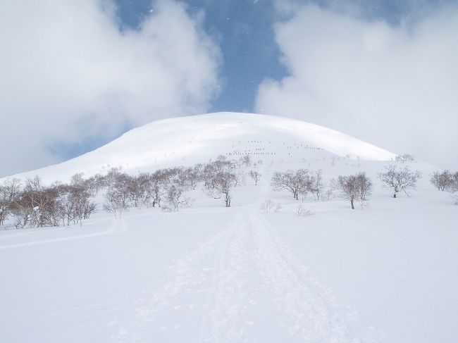 北海道蘭越町にあるチセヌプリスキー場からリフトで登り、そこから、山スキーでチセヌプリ登頂を目指しました。<br />当日は自衛隊の訓練があり、途中で雪洞を掘っていたりしました。<br />一緒に登りました。<br />登頂後すぐさま、霧がかかり、視界が悪くなったので、自衛隊の皆さんを尻目にすばやく下山!<br />この少し前に山スキーの装備をそろえて、念願のニセコでの山スキーだったのでうれしかったーーー