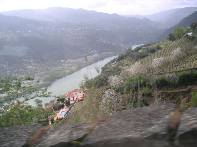 ドウロ川を溯上しポルトワインの故郷を巡る、Amarante, Lamego.<br />