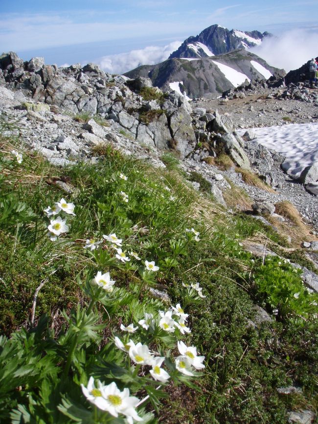 2012 のんびり立山三山縦走