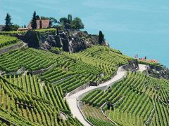 スイス／イタリア旅行2012　②　　レマン湖の湖畔でお散歩