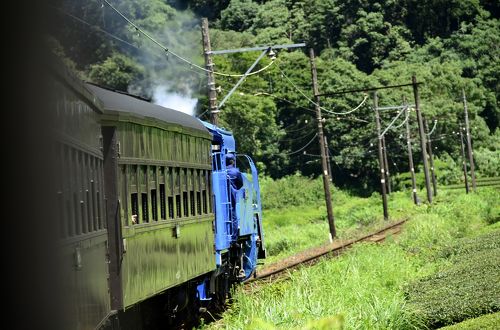 大井川鐵道の青い蒸気機関車に乗って』川根・井川(静岡県)の旅行