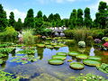 2012　 真夏の草津市立水生植物公園・みずの森