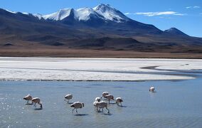 団塊夫婦の世界一周絶景の旅（2012）ーボリビア３/絶景のウユニ塩湖を行く（二日目）