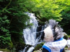 カキ氷と滝で涼を満喫