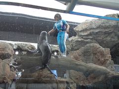 京都水族館と西本願寺へ