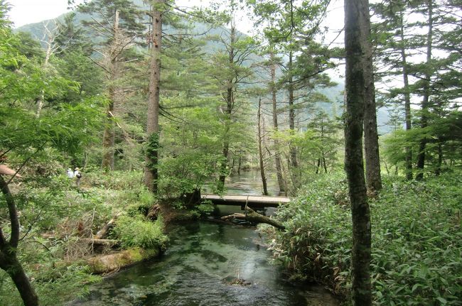 7月23日からま26日まで高山から平湯・乗鞍岳・乗鞍高原・上高地・松本と横断してきました。使った切符は高山の濃飛バスセンターで買った路線バス乗り降り自由の乗り放題4日間ワイドフリーパスです。乗鞍高原に2連泊して動いたのでお得でした。前半は、山にちょっと霧がかかってかすんでいましたが最終日の乗鞍山頂からのご来光は晴天で美しく見ごたえありました。乗鞍高原は15〜16℃。とても涼しくて快適でした。夏は緯度より標高。