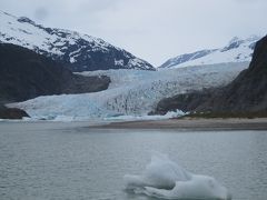 Holland America Ms Westerdam 乗船記 2012.5 ④ Day3 Juneau　メンデンホール氷河に感動