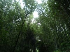 ☆生後9ヶ月☆京都安産祈願　御礼参り***嵐山***