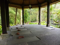 バリ一人旅②☆Ubud de yoga and spa!　