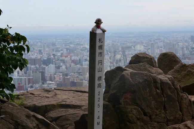 今朝の札幌は　曇り空<br /><br />雨が降らないうちに、円山の観音様を観に。<br /><br />今日は車がないのでチャリで３０分かけて　行ってきました。<br /><br />２０分くらいで登れるのに、<br />写真をとりながらだったので、１時間半以上もかかってしまった・・・<br /><br />-------------------------------------------------------------------------------<br />山行記録はヤマレコにUPしてますので、良ければ↓<br />http://www.yamareco.com/modules/yamareco/userinfo-74139-data.html