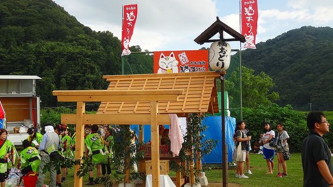 第２５回 かんなみ猫おどり 函南 静岡県 の旅行記 ブログ By Hn11さん フォートラベル