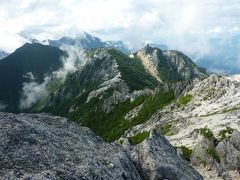 タカネビランジ咲く鳳凰三山　花の山旅♪